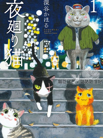 夜巡猫